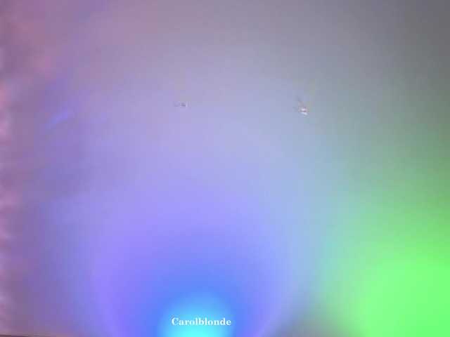 Preview of carolblonde