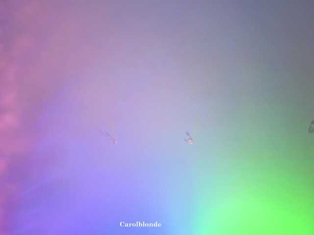 Preview of carolblonde