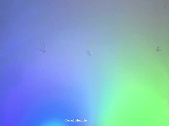 Preview of carolblonde