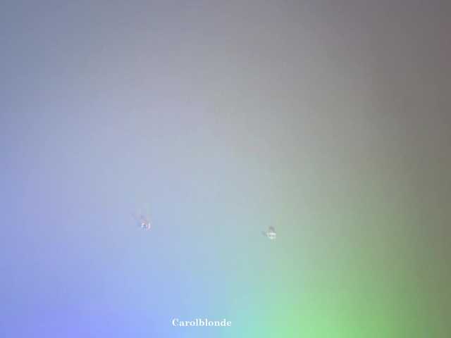 Preview of carolblonde