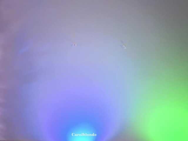 Preview of carolblonde