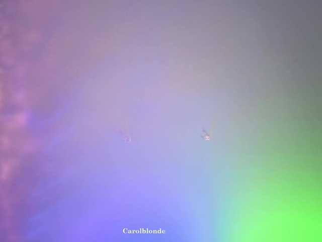 Preview of carolblonde