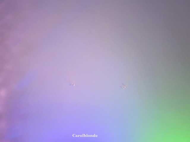 Preview of carolblonde
