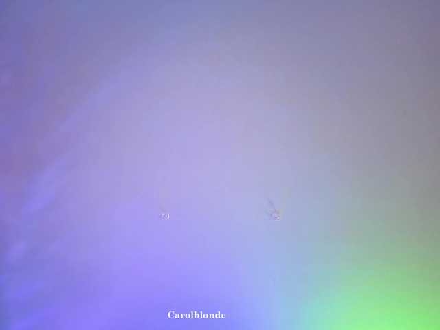 Preview of carolblonde