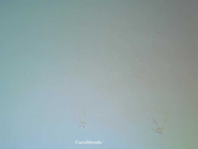 Charlotte-glasses's BongaCams show and profile