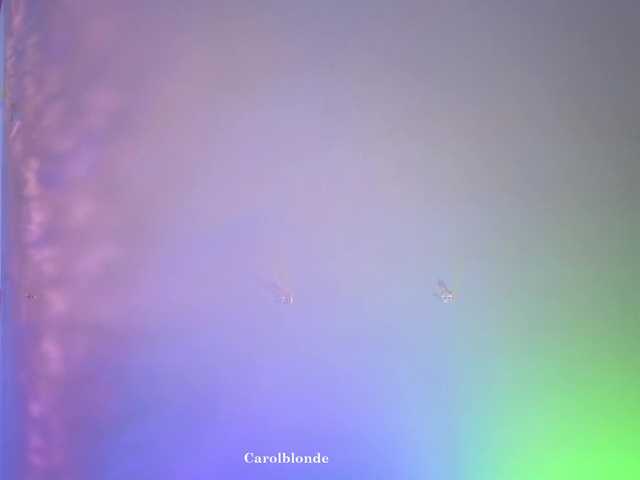 Preview of carolblonde