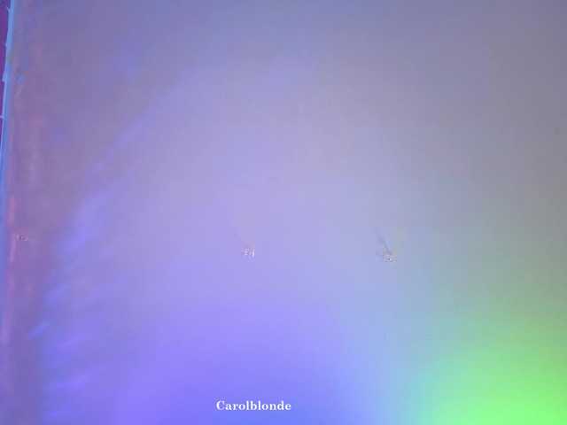 Preview of carolblonde