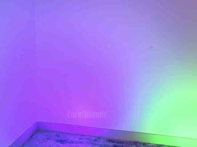 Carolblonde webcam