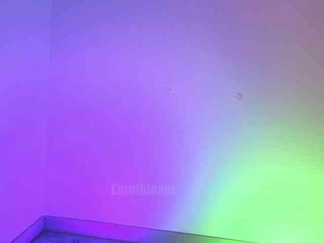 web cam sex Charlotte-glasses