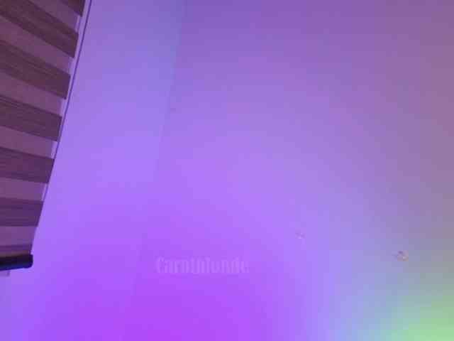 Carolblonde webcam