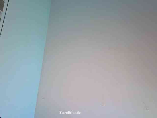 Charlotte-glasses Charlotte-glasses