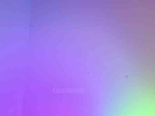 Carolblonde webcam