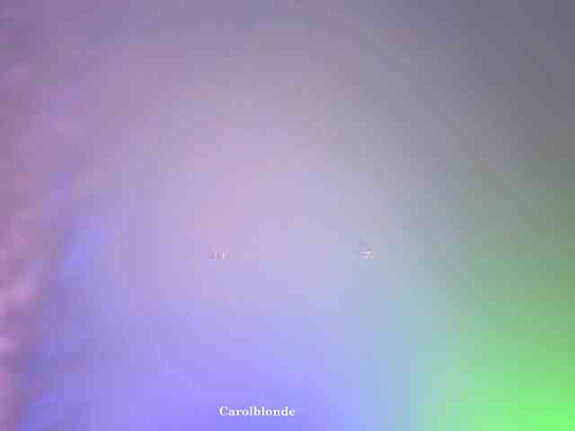 Carolblonde webcam