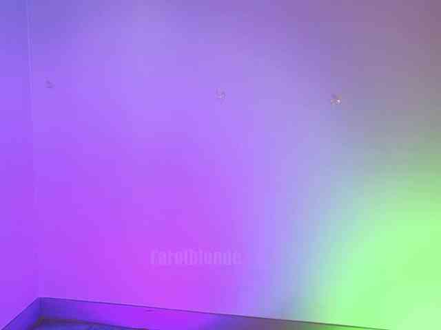 Carolblonde webcam