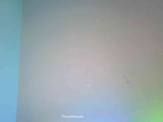 Carolblonde webcam