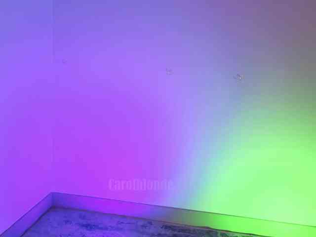 Carolblonde webcam
