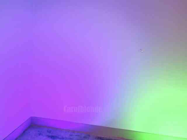 Carolblonde webcam