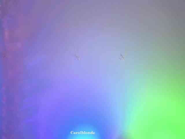 Charlotte-glasses Charlotte-glasses