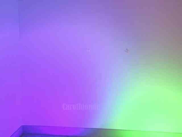 Carolblonde webcam