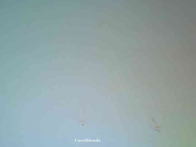 Carolblonde webcam