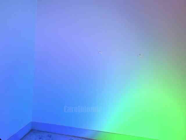 Carolblonde webcam