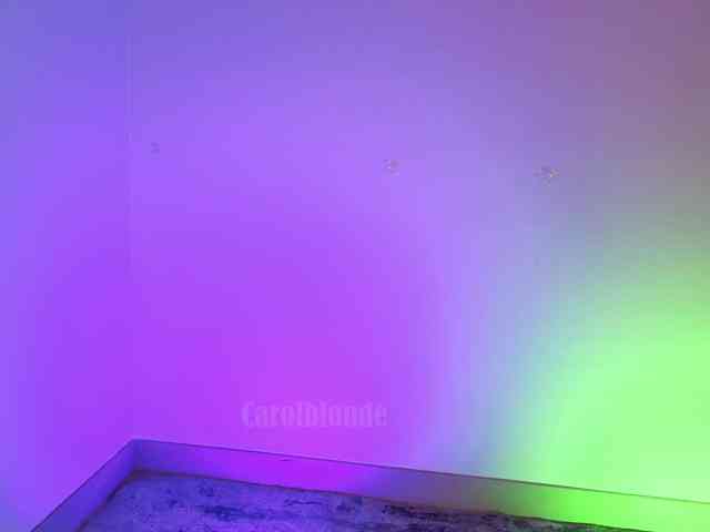 Carolblonde webcam