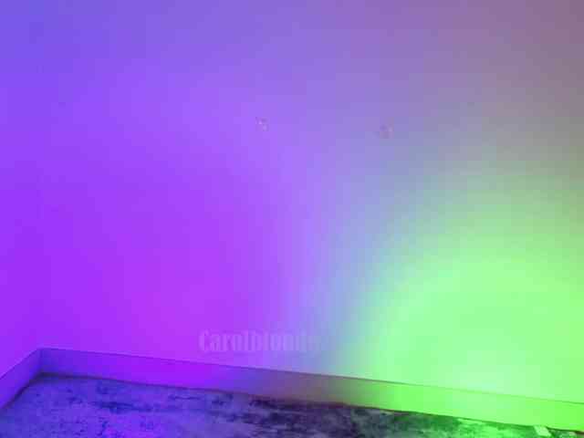 Carolblonde webcam