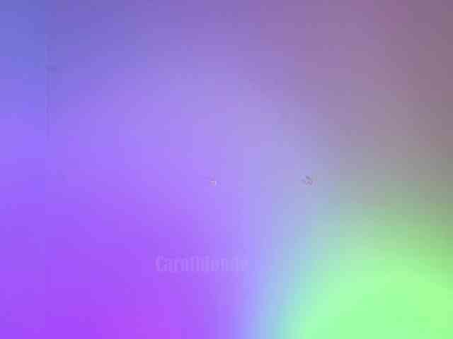 Carolblonde webcam