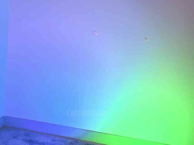 Carolblonde webcam