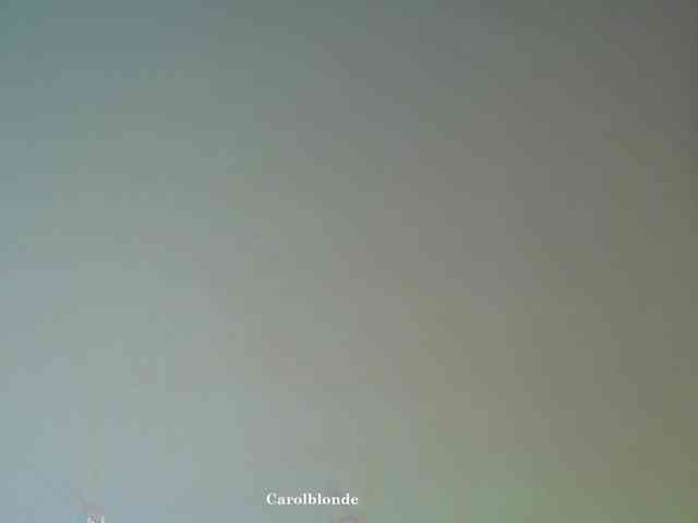Carolblonde webcam