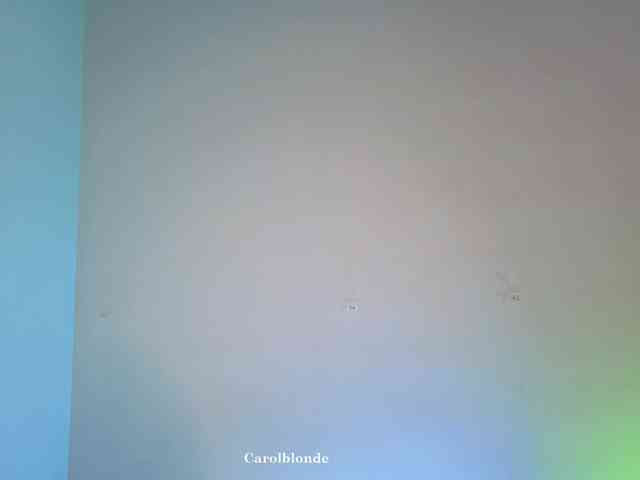 Charlotte-glasses Charlotte-glasses