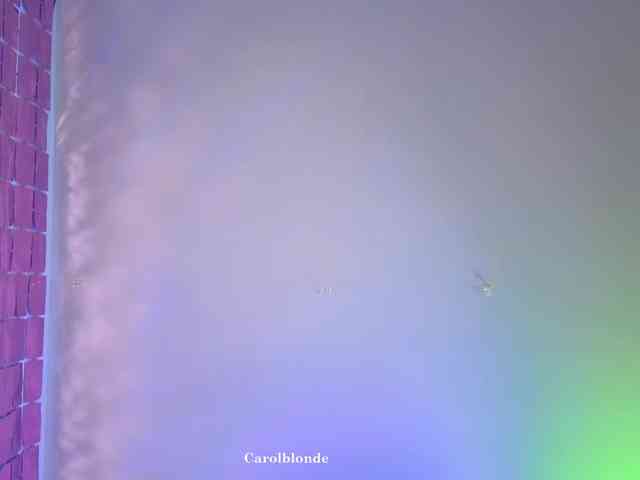 Carolblonde webcam