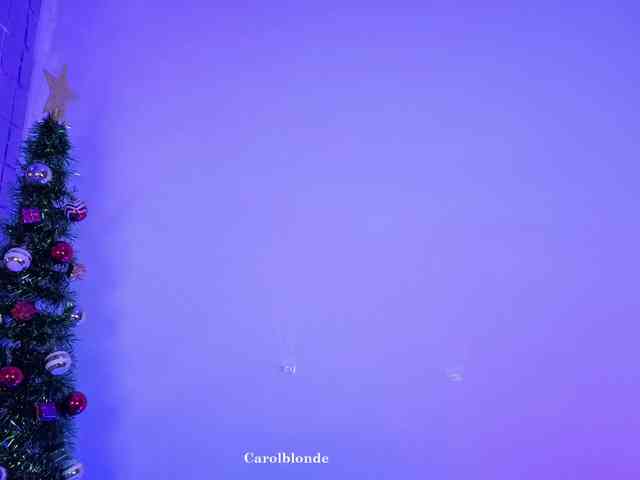 Carolblonde webcam