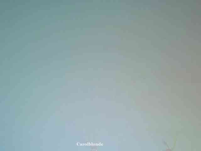 Carolblonde webcam