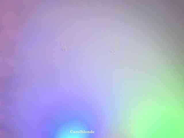 Carolblonde webcam