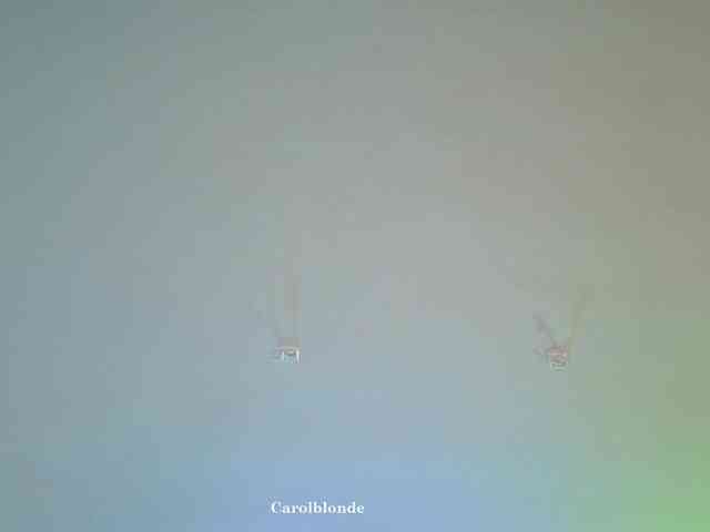 Carolblonde webcam