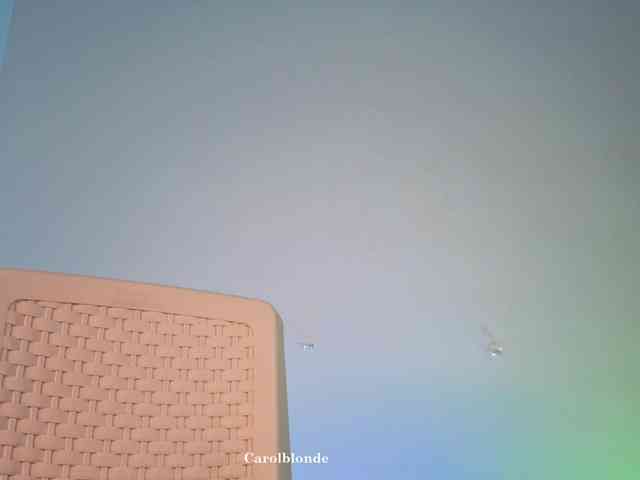 Charlotte-glasses Charlotte-glasses