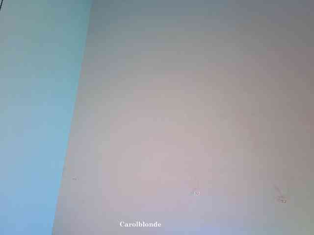 Charlotte-glasses Charlotte-glasses