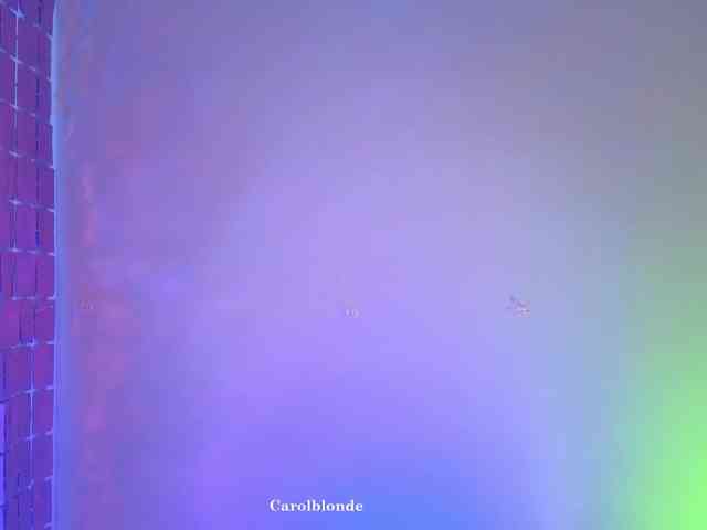 Carolblonde webcam