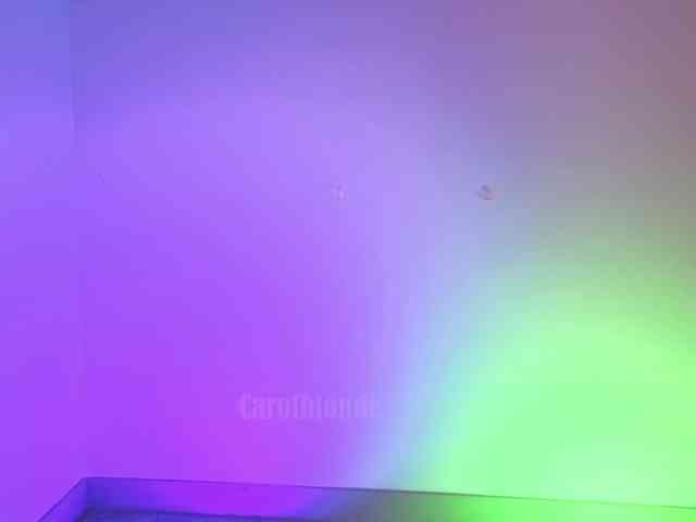 Carolblonde webcam