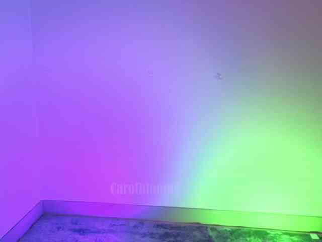 Carolblonde webcam