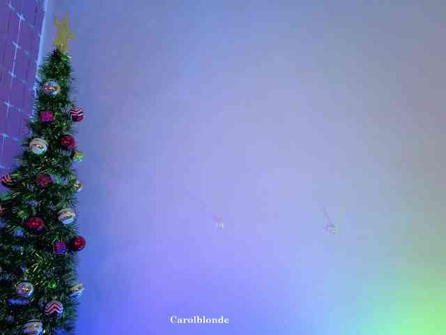 Charlotte-glasses Charlotte-glasses