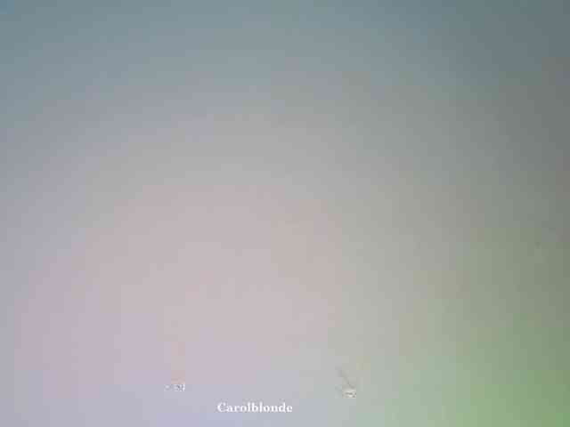 Carolblonde webcam