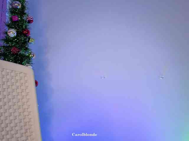 Charlotte-glasses Charlotte-glasses