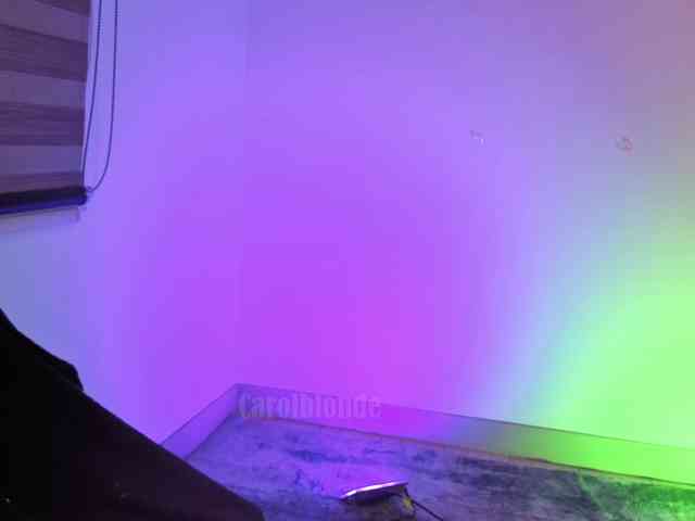 Carolblonde webcam