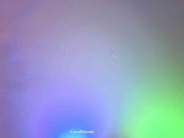 Carolblonde webcam