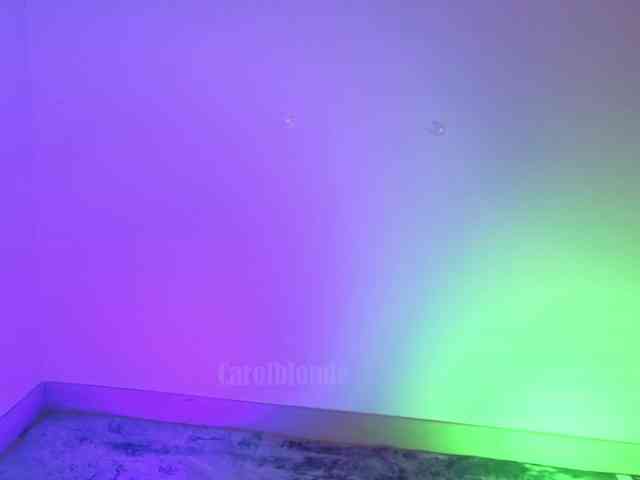 Carolblonde webcam
