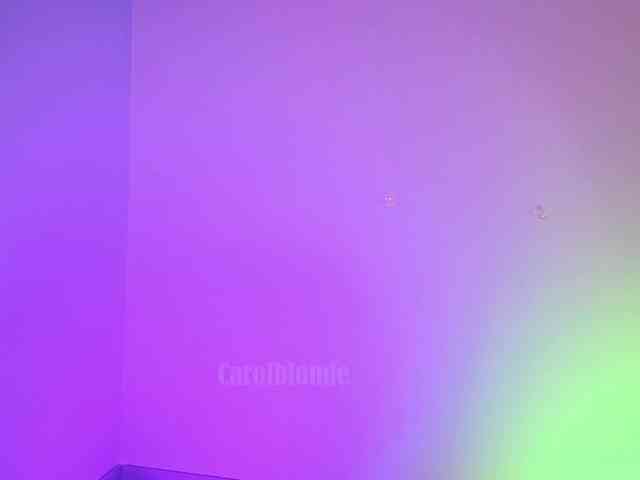 adult cam show Charlotte-glasses