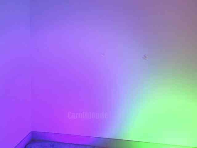 Carolblonde webcam