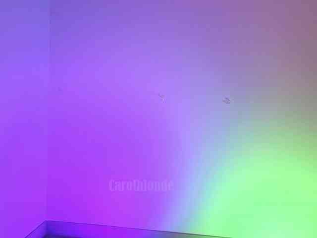 Carolblonde webcam
